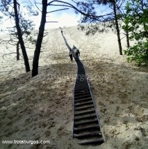 Escaleras desde el camping a la Duna