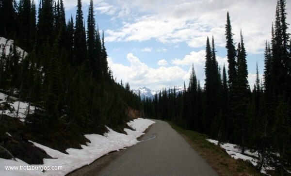 CARRETERA MEADOWS IN THE SKY PARKWAY. REVELSTOKE. CANADÁ.